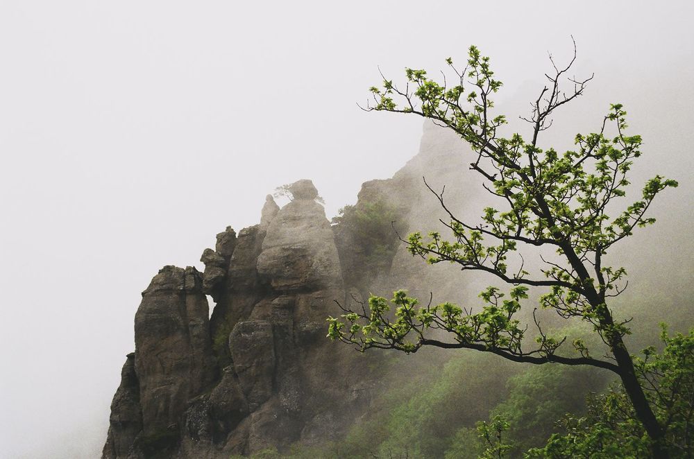 Demerdzhi Plateau