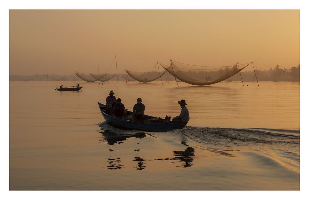 catch fish with dawn