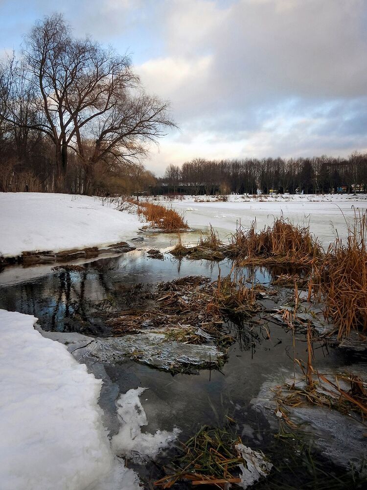 Photo 2177126