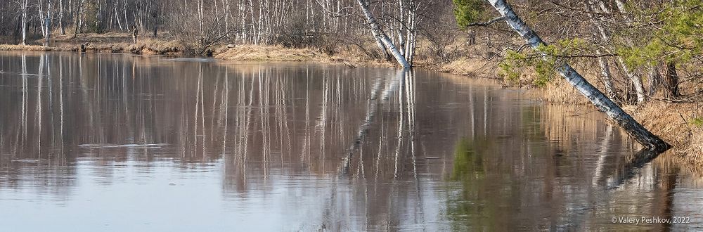 01 В 2019 году разлив в Мещере был довольно умеренным, небольшие реки остались более-менее в своем русле