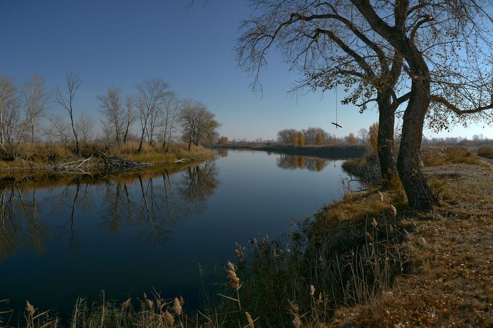 Photo 2179545