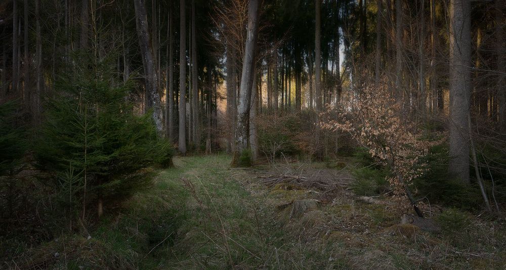 Photos from Portfolio