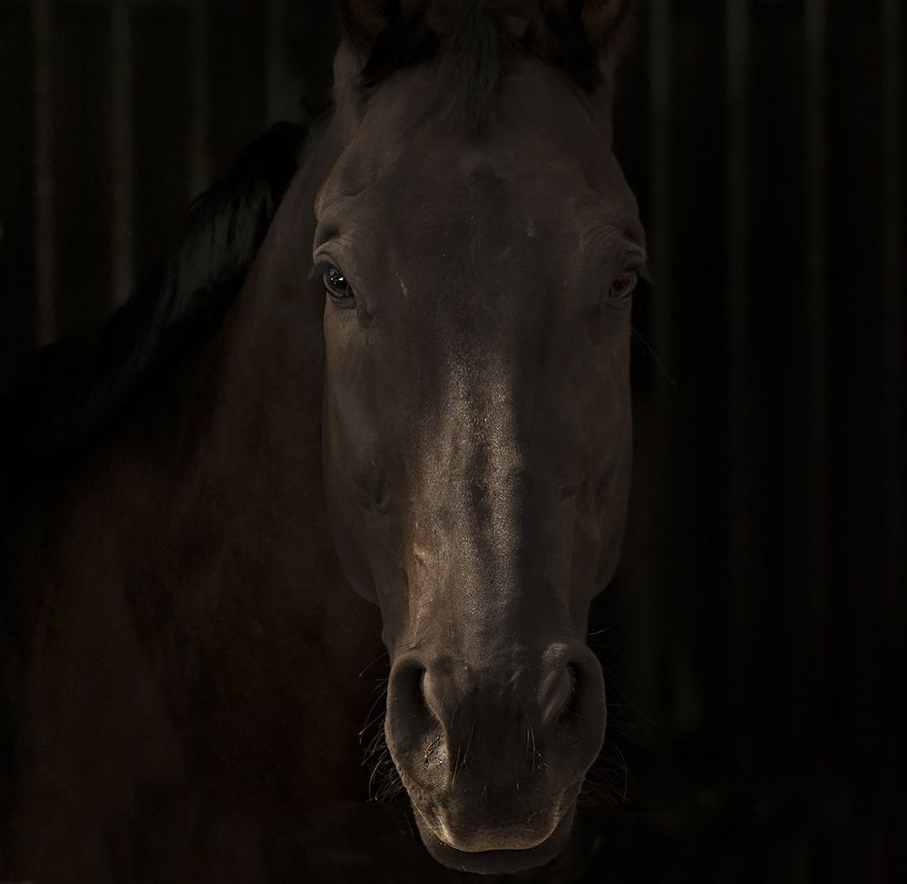 Photos from Portfolio