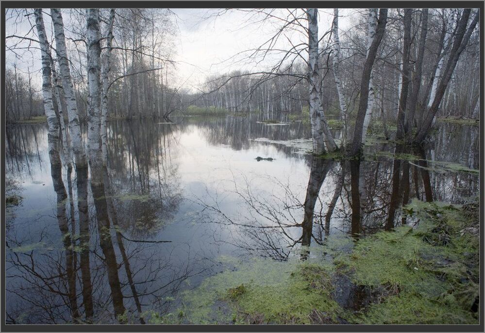 Старица, разлив