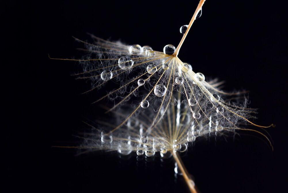 series "Tears"