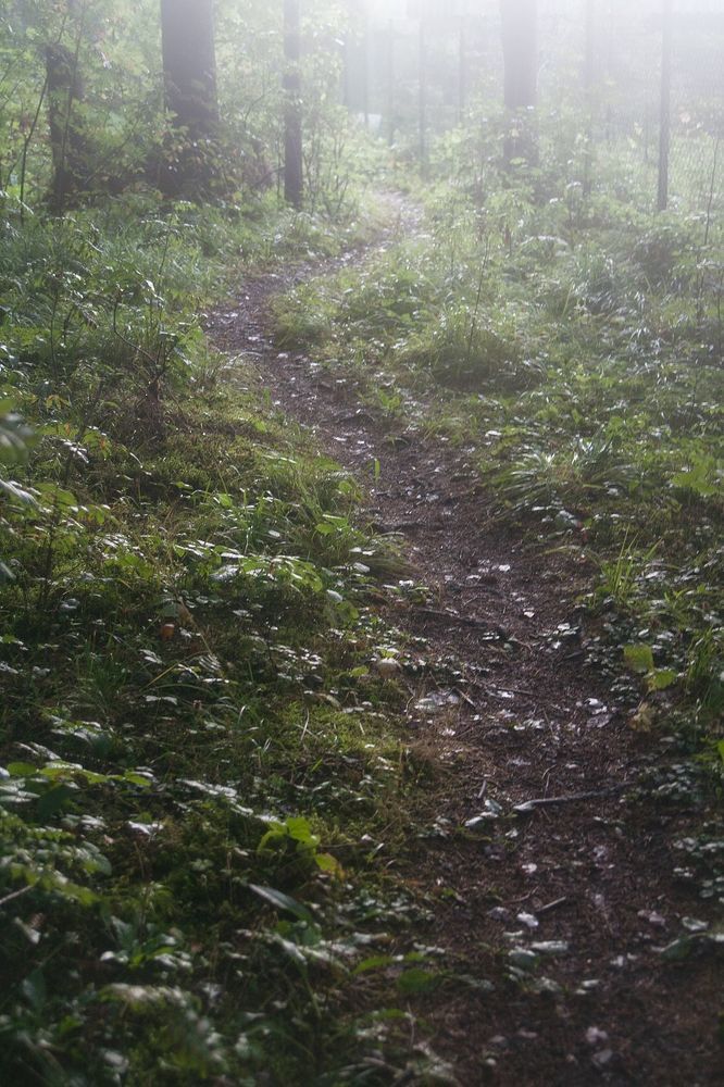 ...after the rain