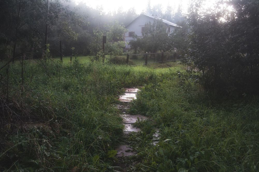 ...after the rain