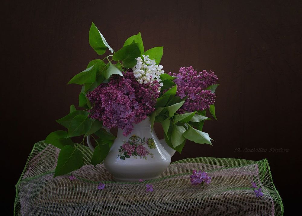 Photo 2182657