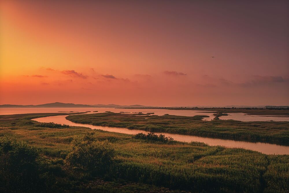 landscape