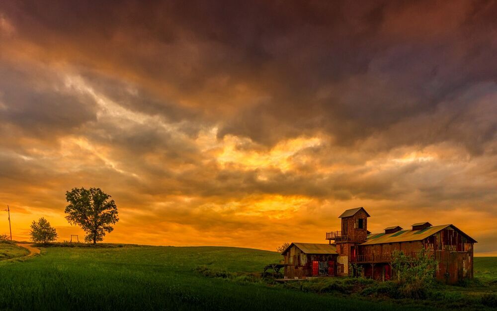 landscape
