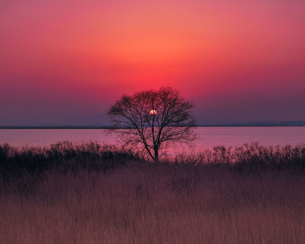 landscape