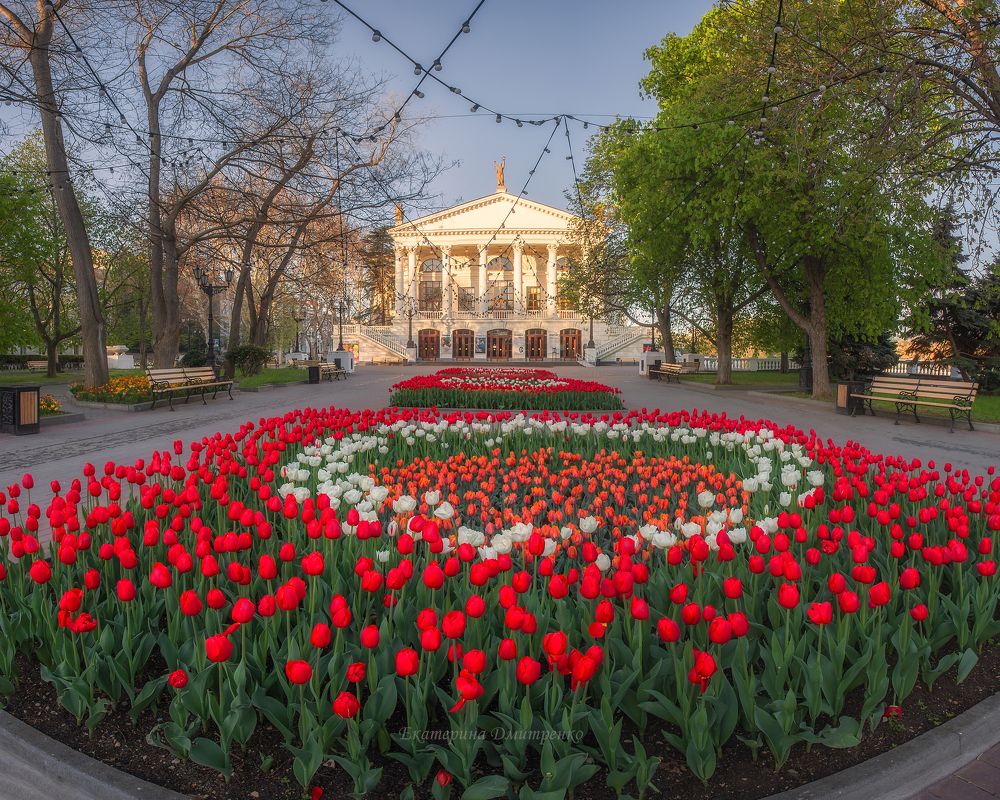 Севастопольское тюльпановое утро