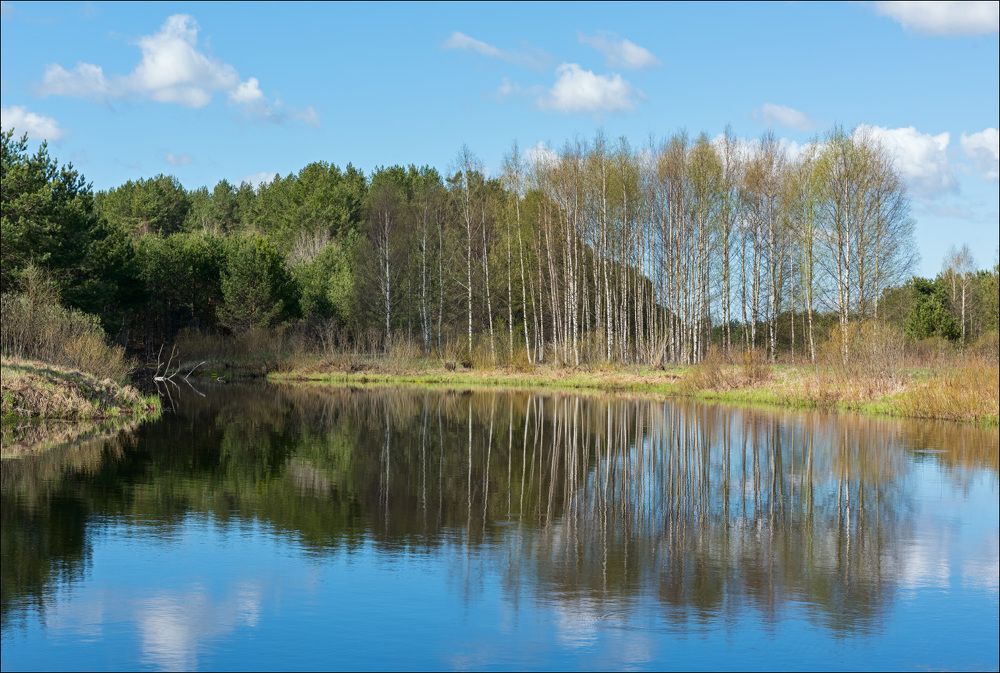 Время первой зелени