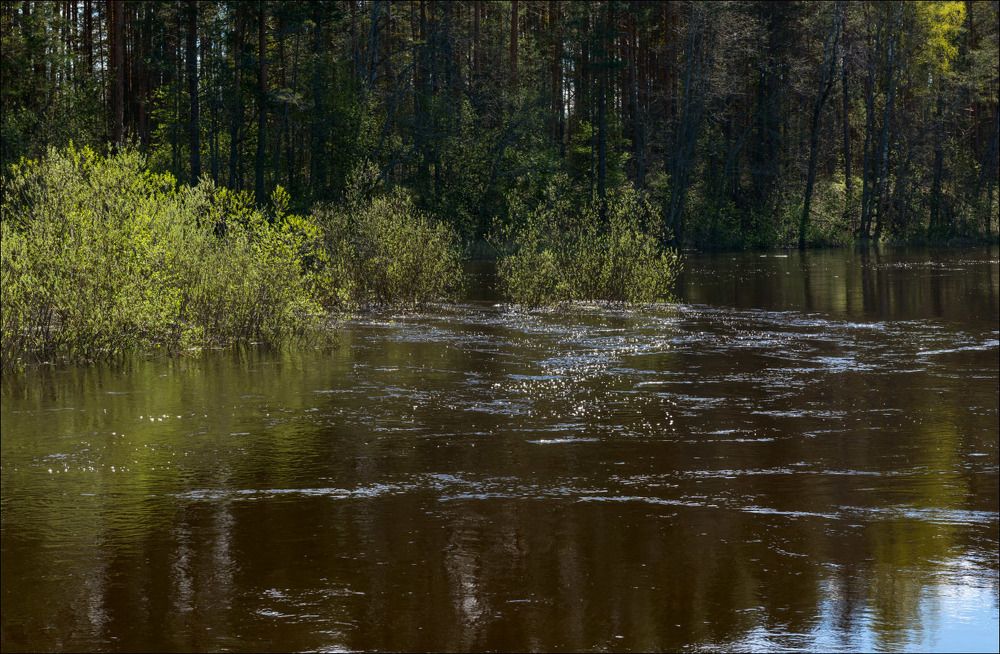 Майское половодье на реке