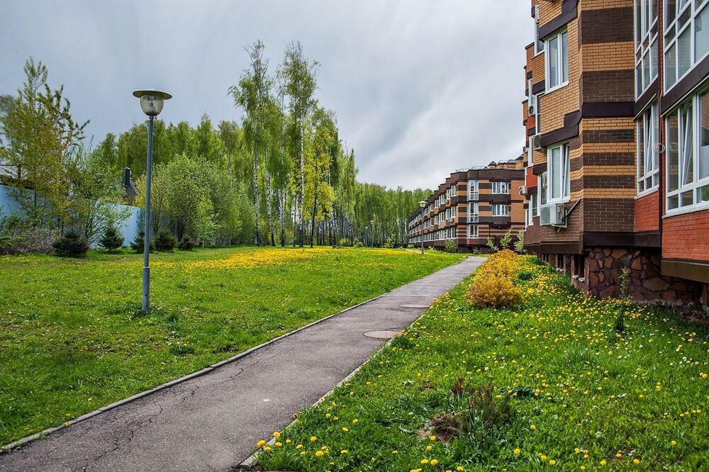 Городские одуванчики