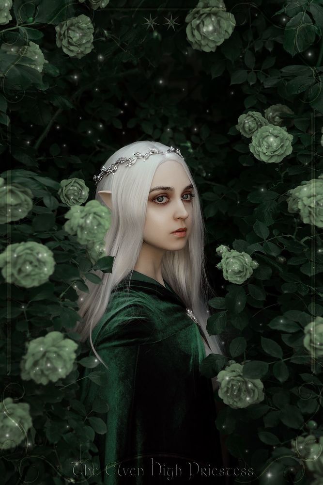&ldquo;The Elven High Priestess&rdquo;