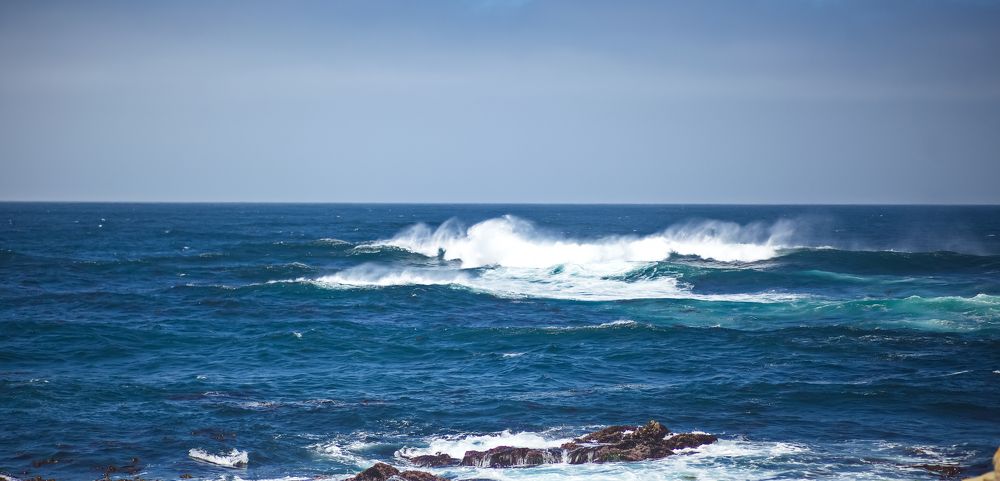 Surf