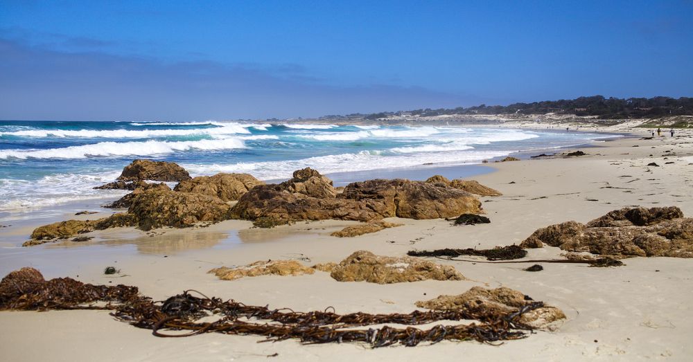 Pebble beach