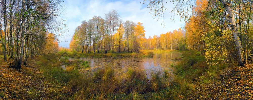 Осень