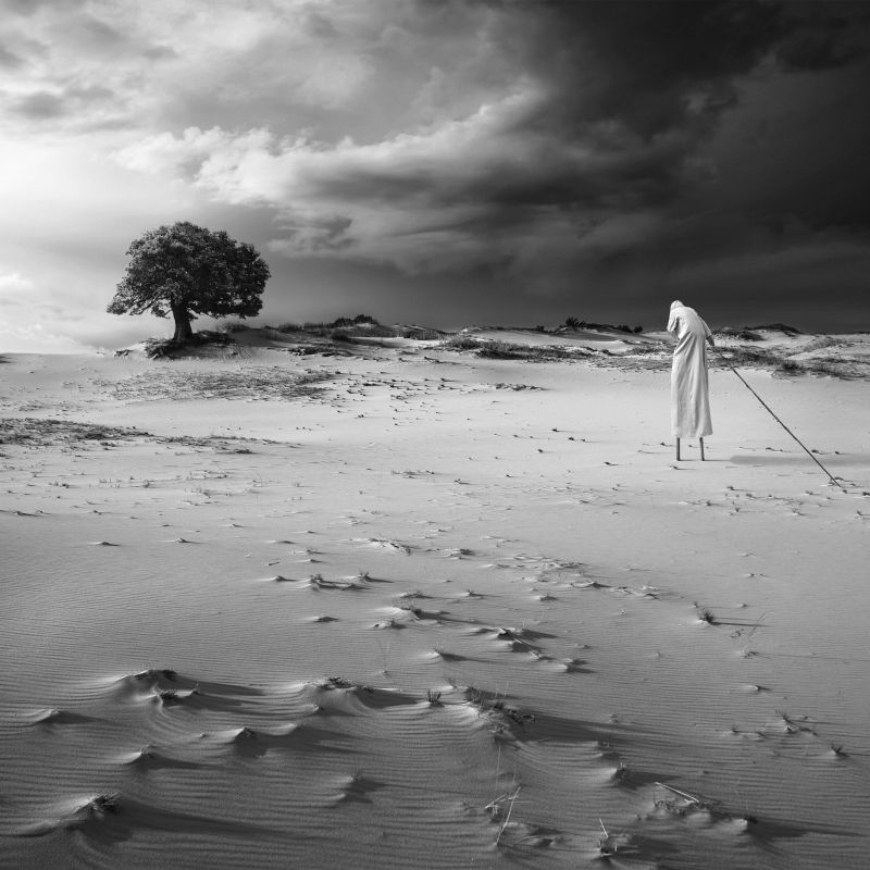 The Hermit