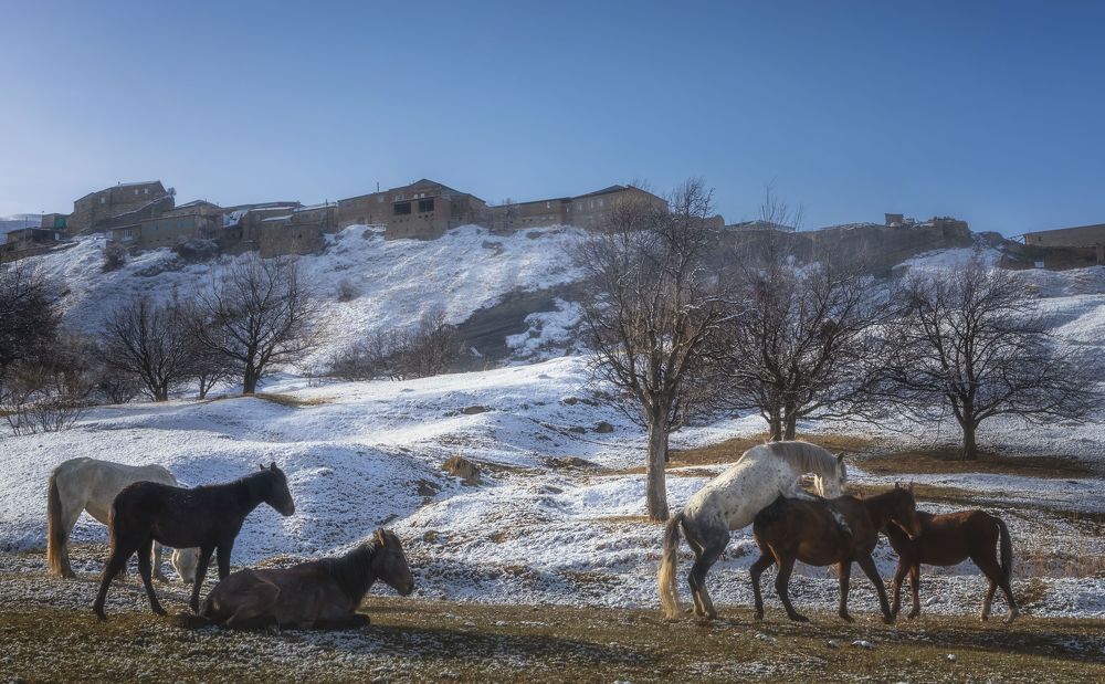 Утро в Дагестане. Аул Чох