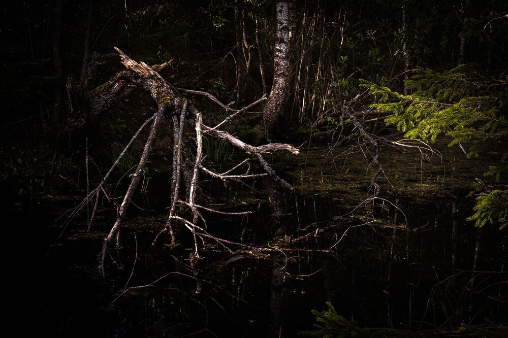Photo 2191903