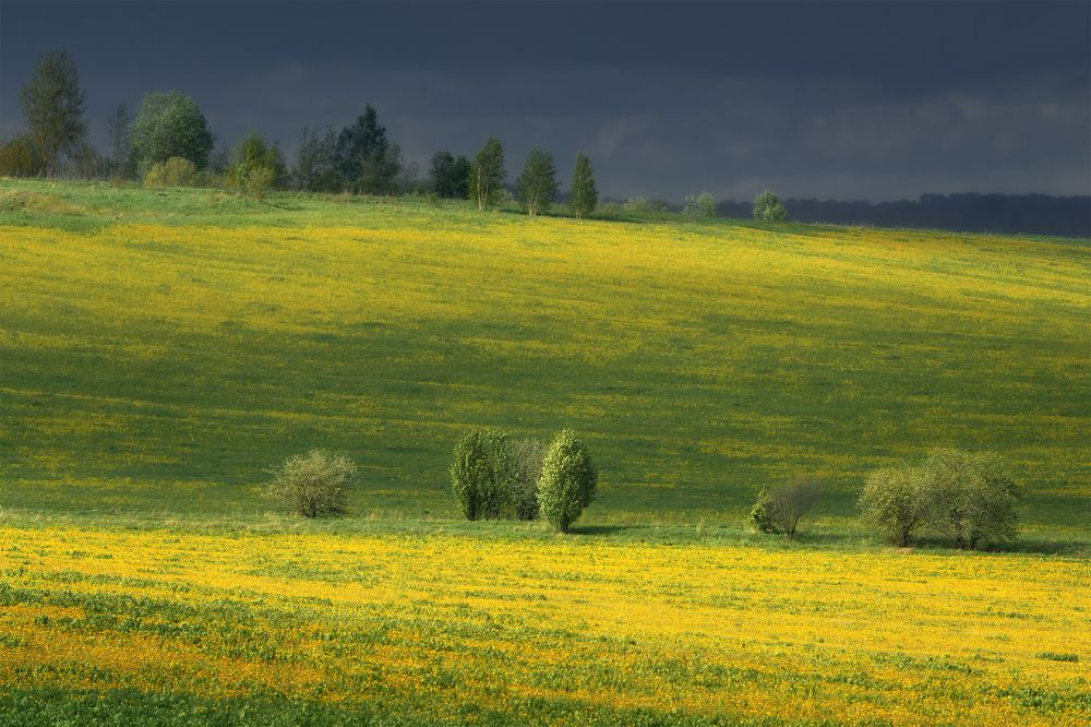 Ярославская Тоскана
