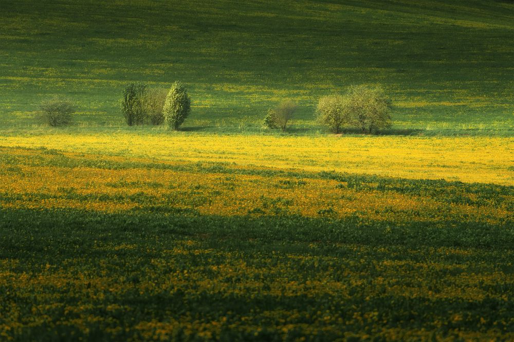 Ярославская Тоскана