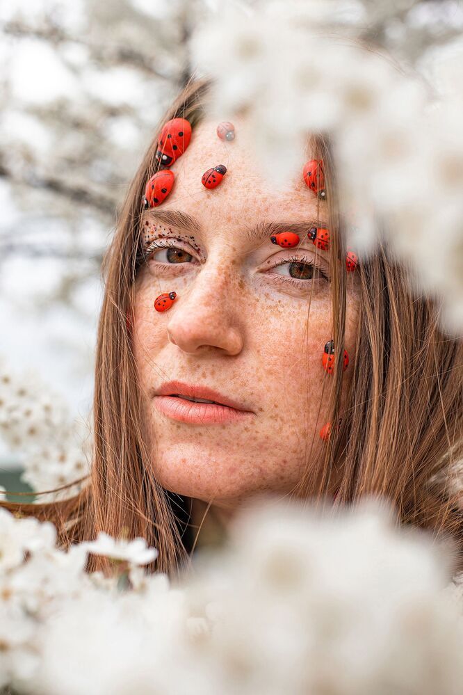 LadyBug