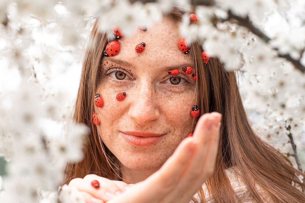 LadyBug