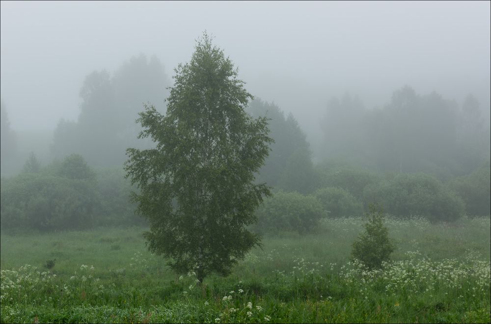 Тихое утро
