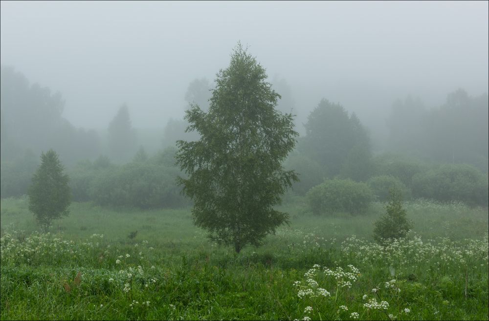 Тайны туманного утра