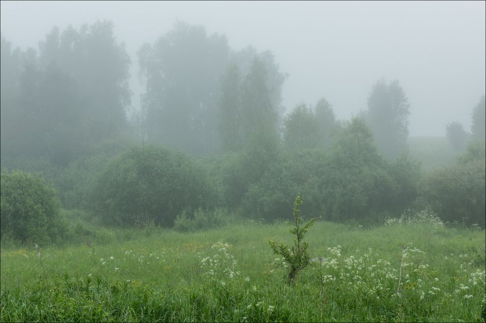 Взгляд в неизвестность
