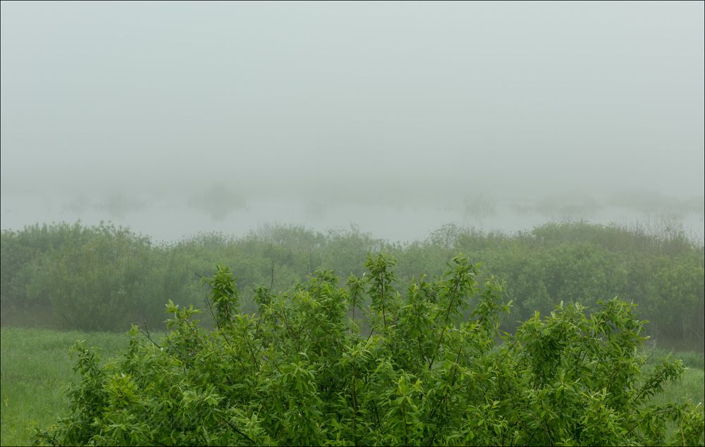 На берегу водохранилища, в тумане.
