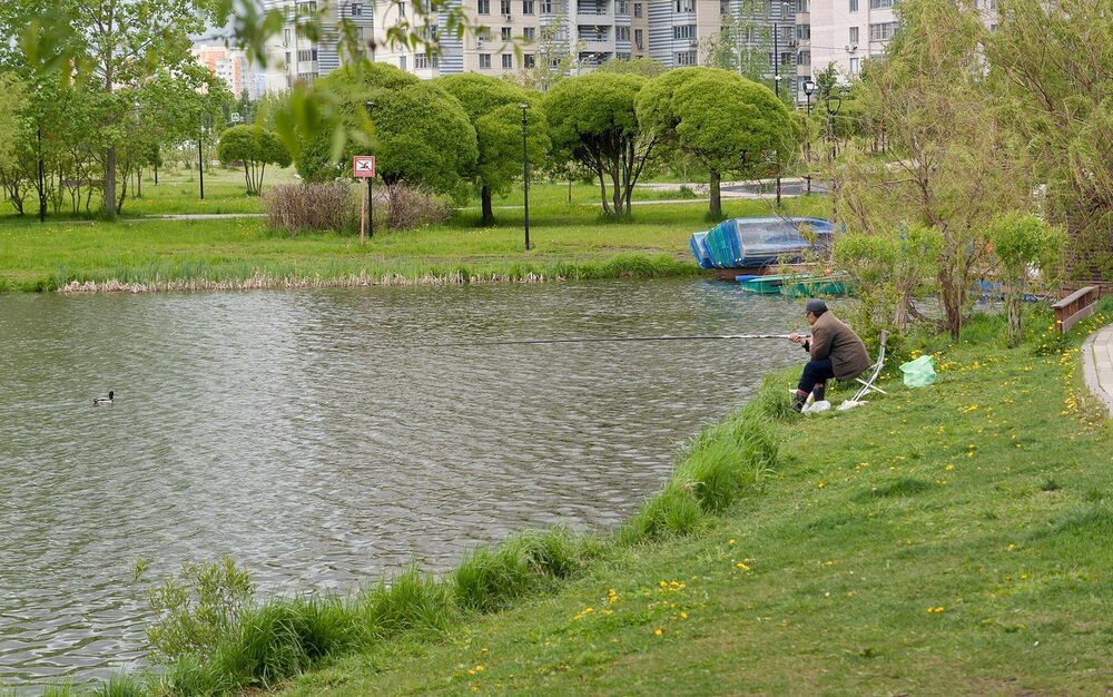 В  парке Южного Бутово