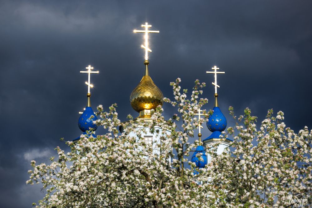 Тишина монастырского сада