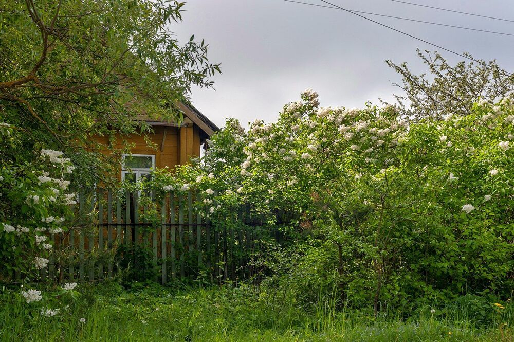 В конце мая