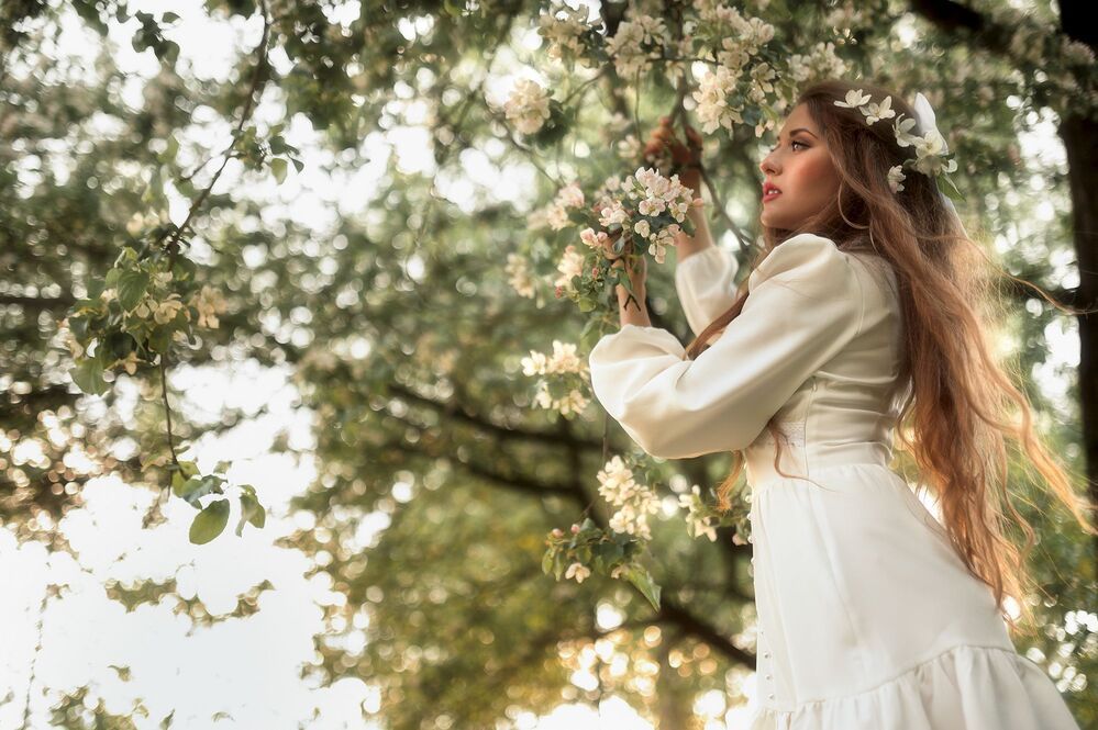 In the apple trees