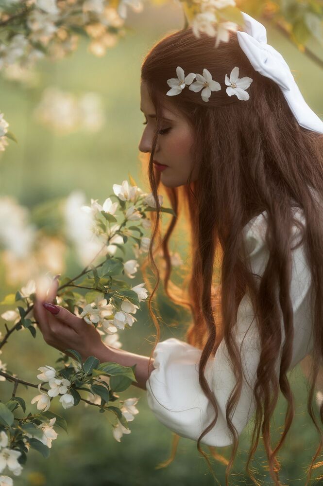 In the apple trees