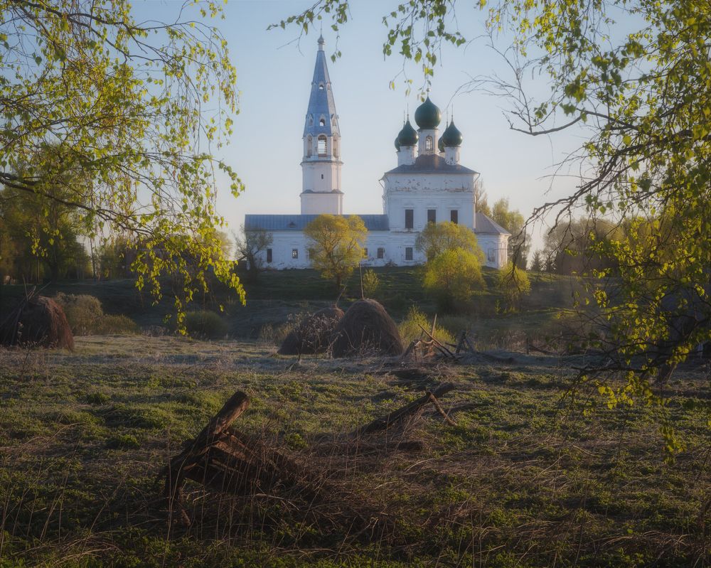 Ранним майским утром в Осенево (Ярославской области)