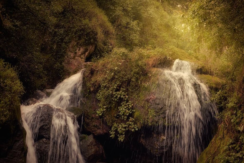 Nature