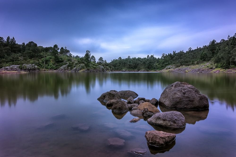 Nature
