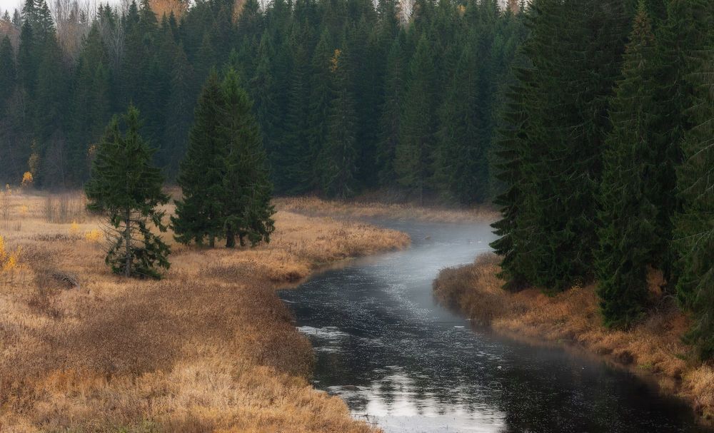 Photo 2196065
