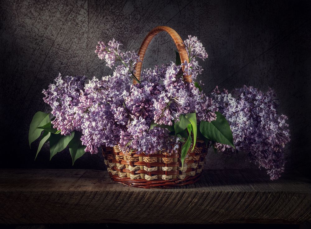 Сирень