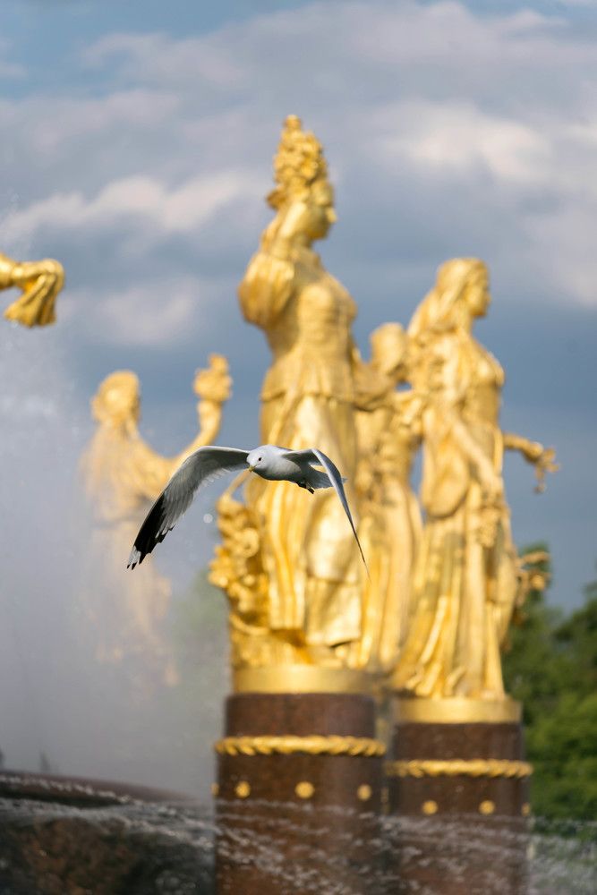 Лето на ВДНХ, 06.2022