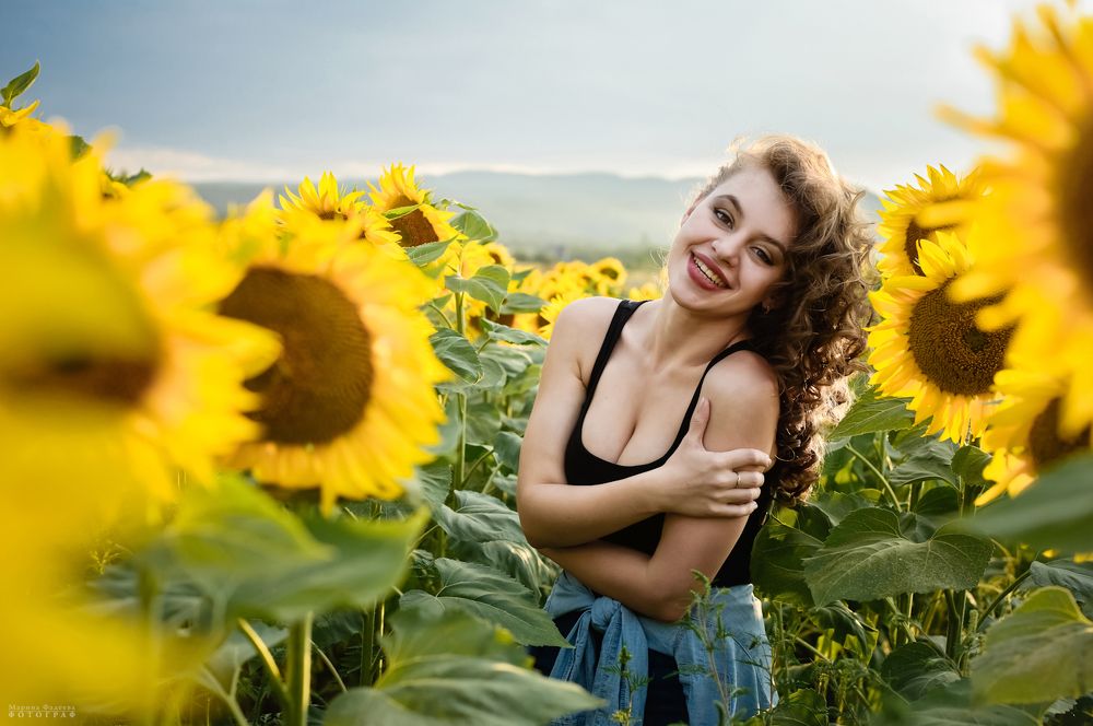 Солнце и подсолнухи