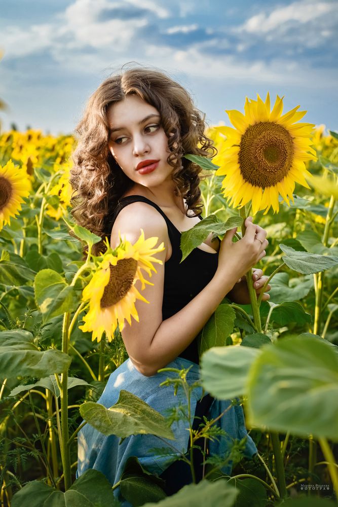 Солнце и подсолнухи