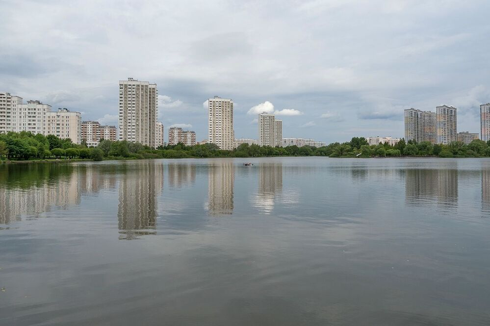 На пруду городского парка
