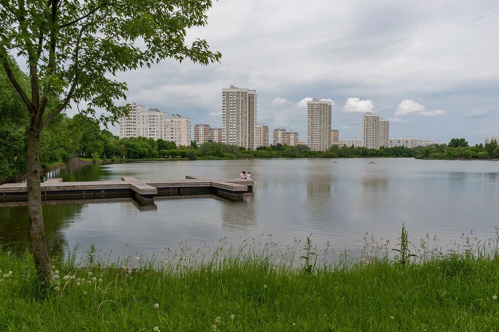 На пруду городского парка