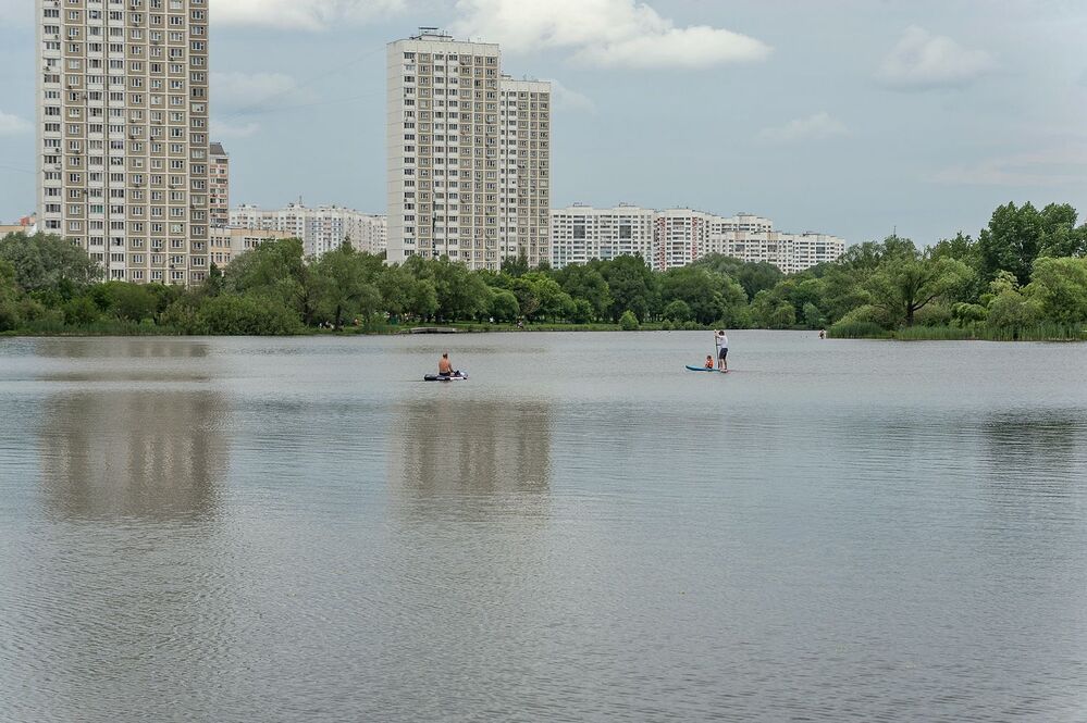 На пруду городского парка